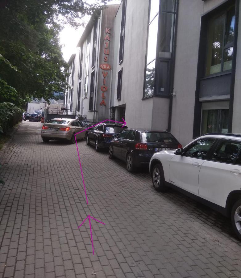 S.Neries Butas Apartment Palanga Luaran gambar